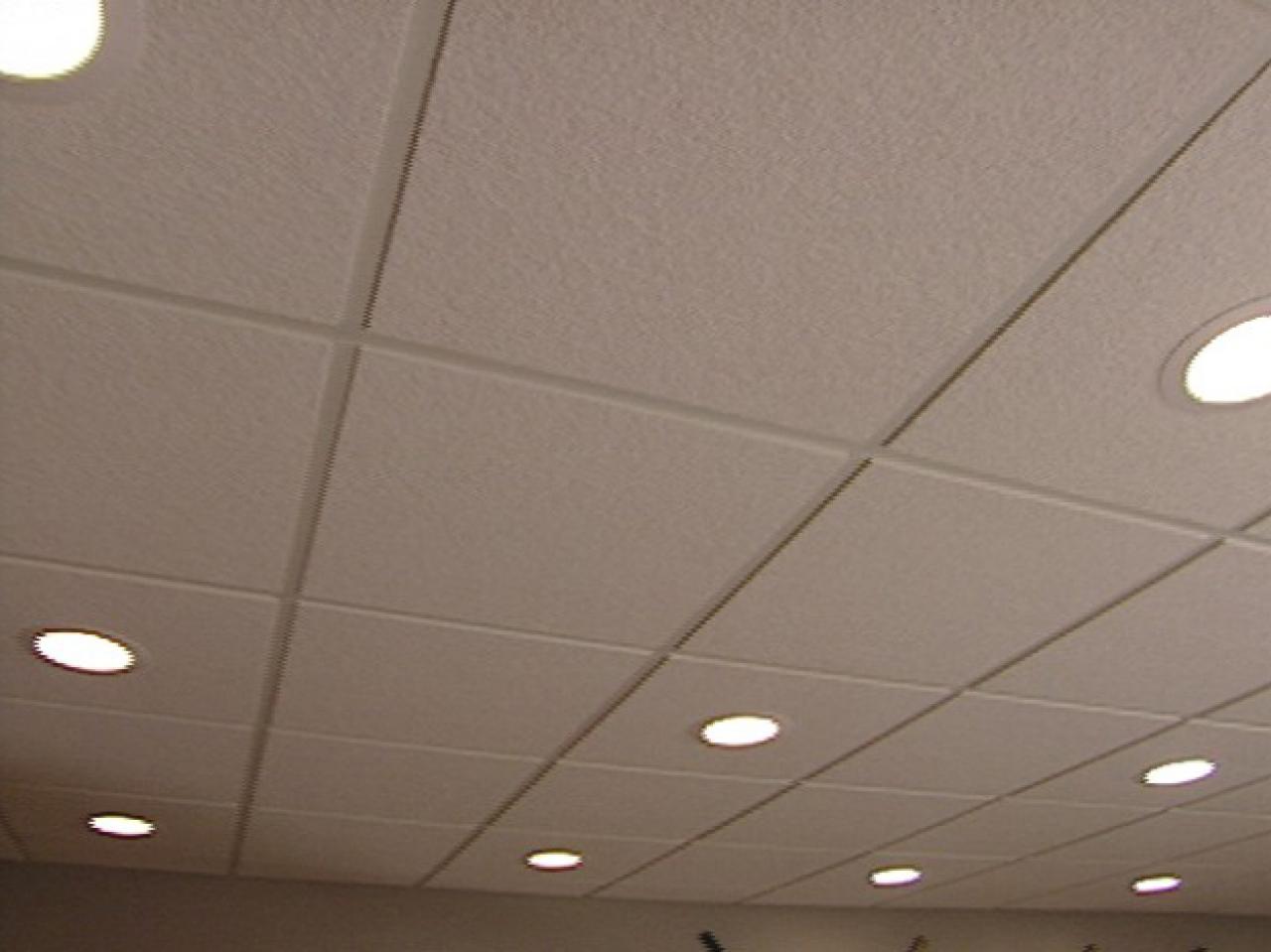 Suspended Ceiling Light Grid : Suspended ceiling grid light panels