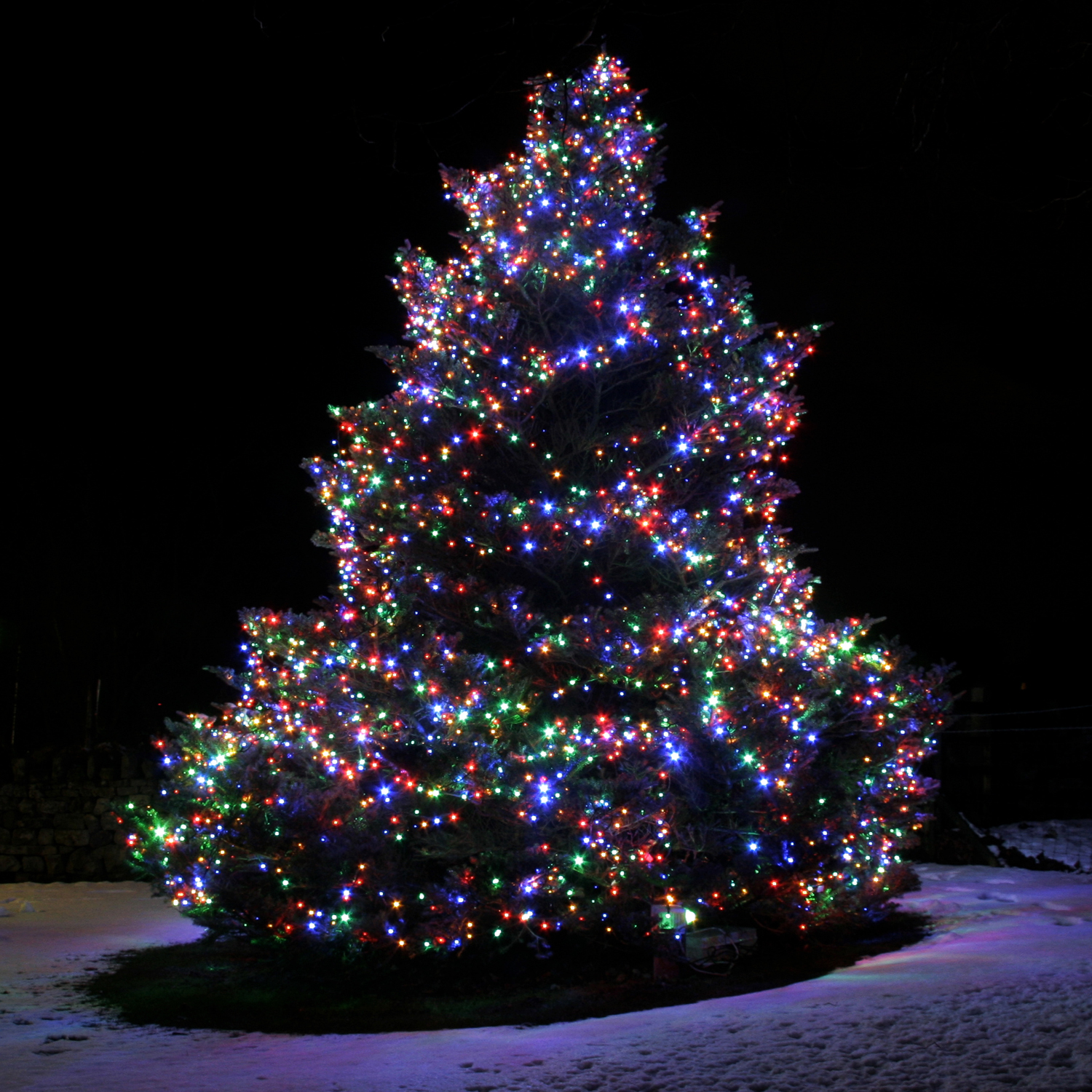 10 things to consider before installing Christmas lights on outdoor trees | Warisan Lighting
