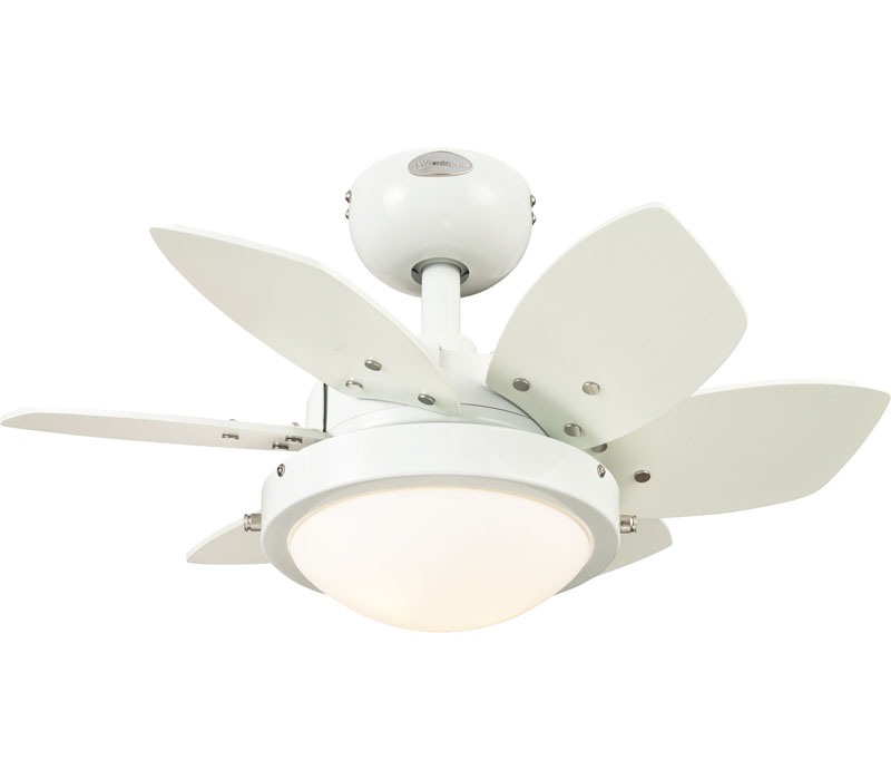 24 Inch Ceiling Fans Warisan Lighting 24 Inch Ceiling Fans Photo 6