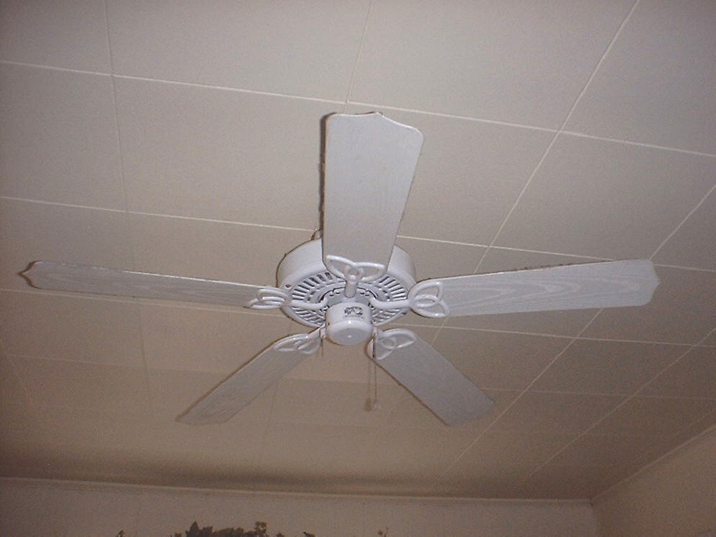 Ceiling Fan For Bathroom Warisan Lighting Ceiling Fan For Bathroom Photo 4