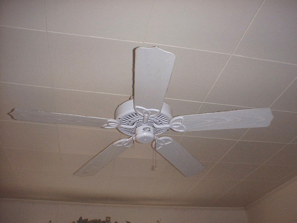 Images Of Ceiling Extractor Fans For Bathrooms Home