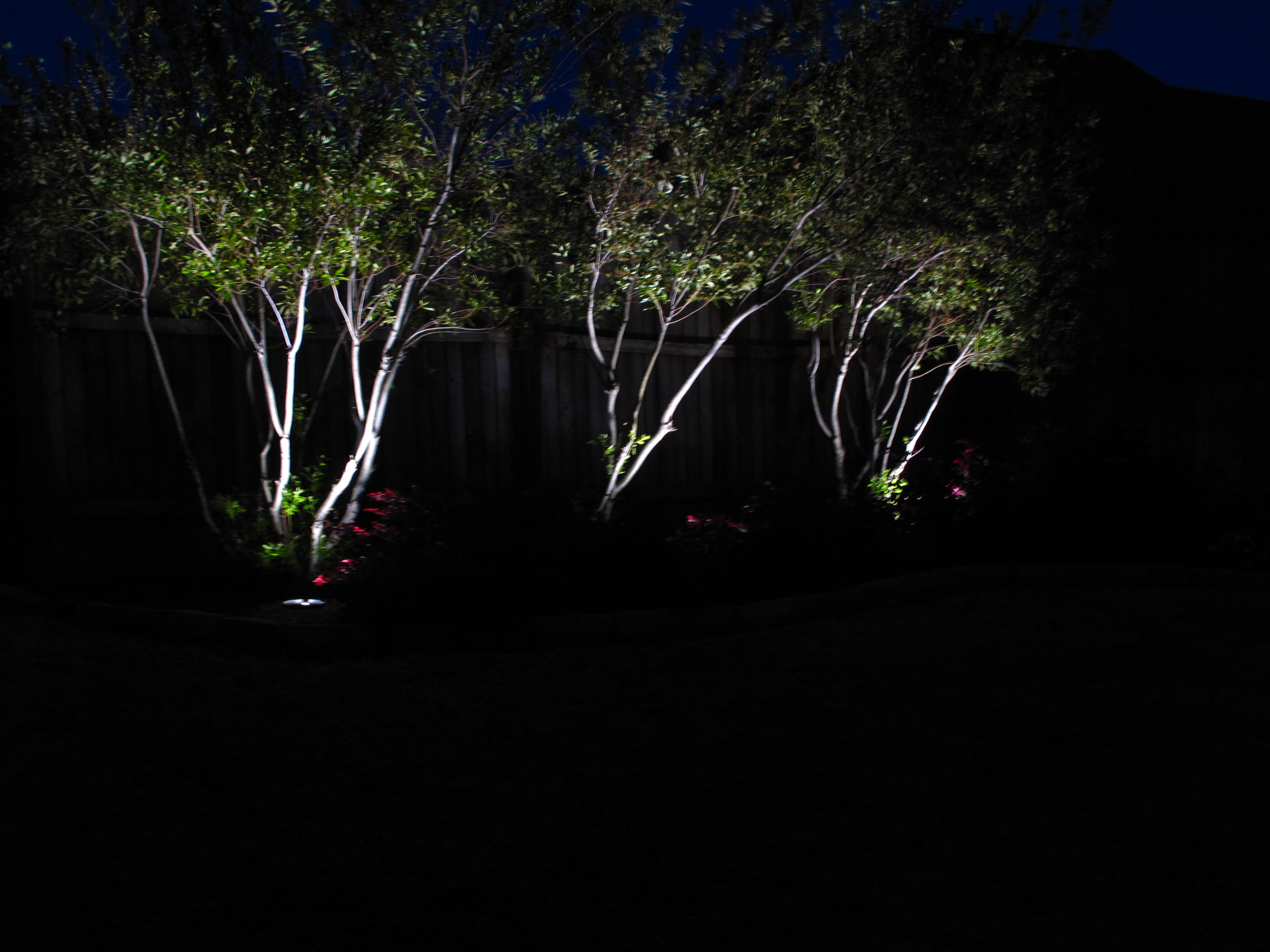 Led outdoor tree lights Will Give A Remarkable Look To Your Location