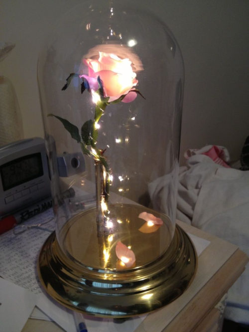 beauty-and-the-beast-lamp-photo-8