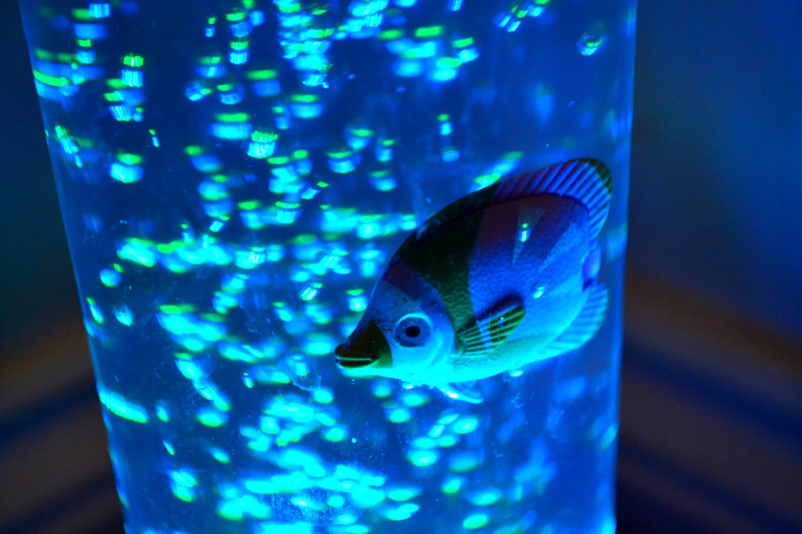 bubble-lamp-with-fish-photo-11