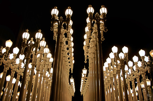 lacma-lamps-photo-16