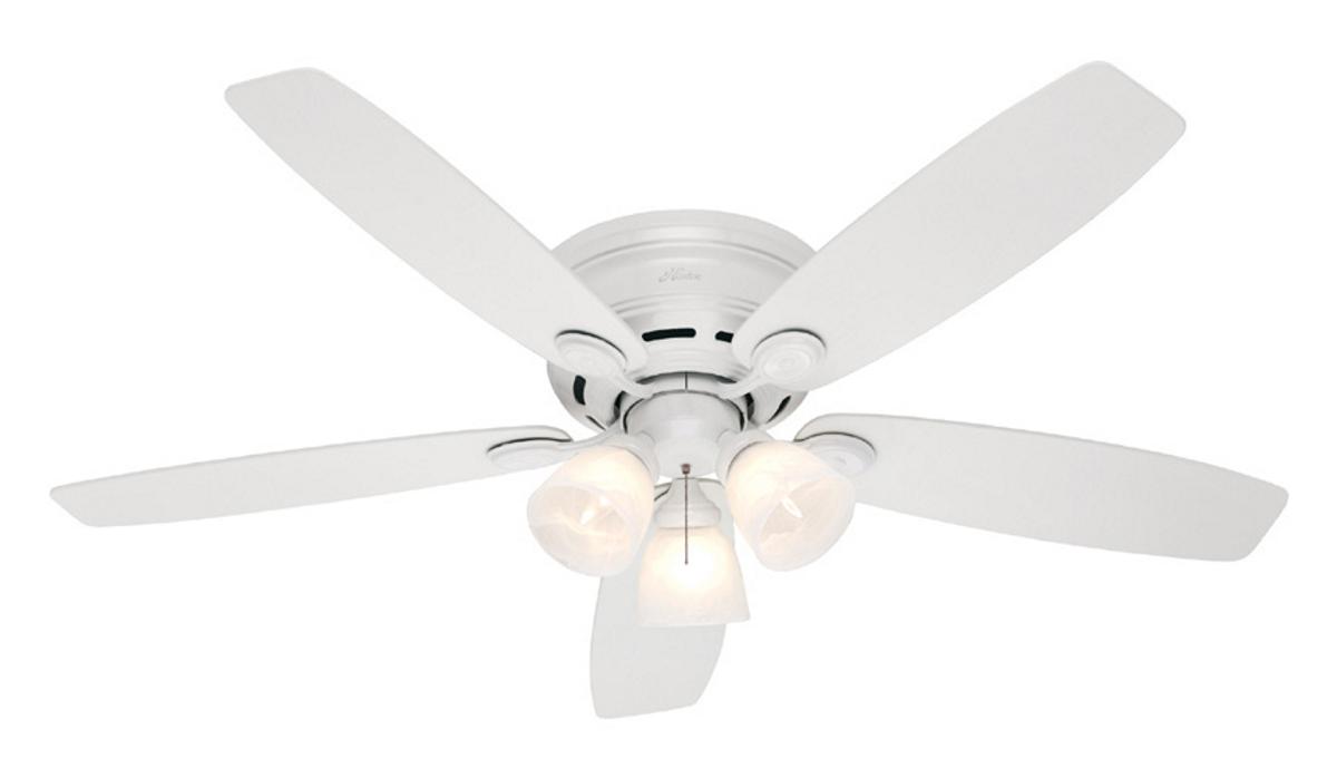 10 Things You Should Know About Low Profile Ceiling Fan Light