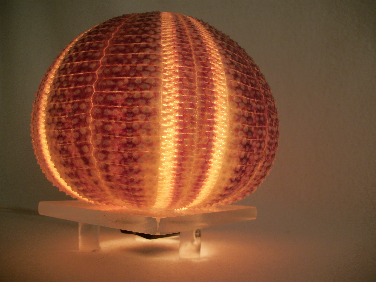 Sea Urchin Lamp The Design Of The Aquatic Animal Warisan Lighting