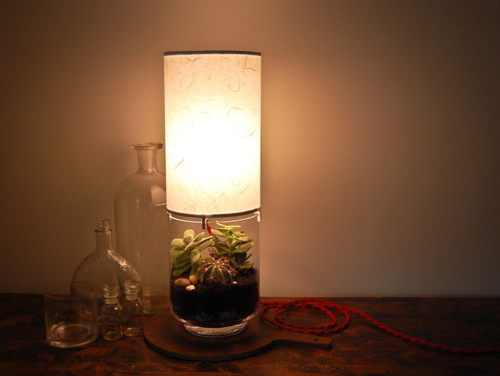 Terrarium lamp a beautiful and unique way to bring nature into your