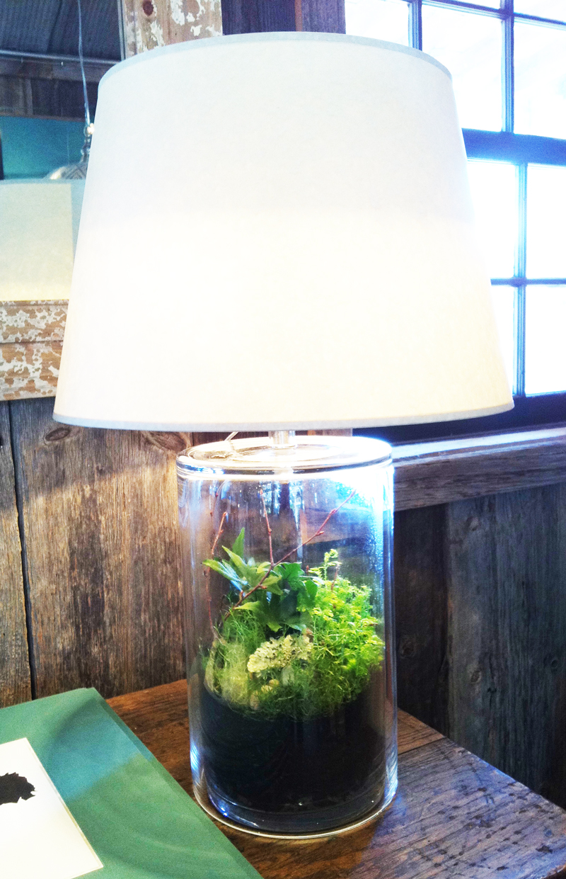 Terrarium lamp a beautiful and unique way to bring nature into your