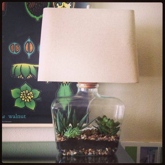 terrarium-lamp-photo-16