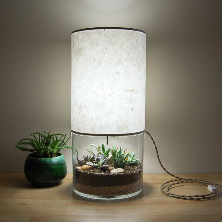 Terrarium lamp a beautiful and unique way to bring nature into your