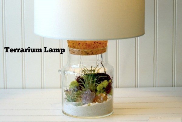 terrarium-lamp-photo-5