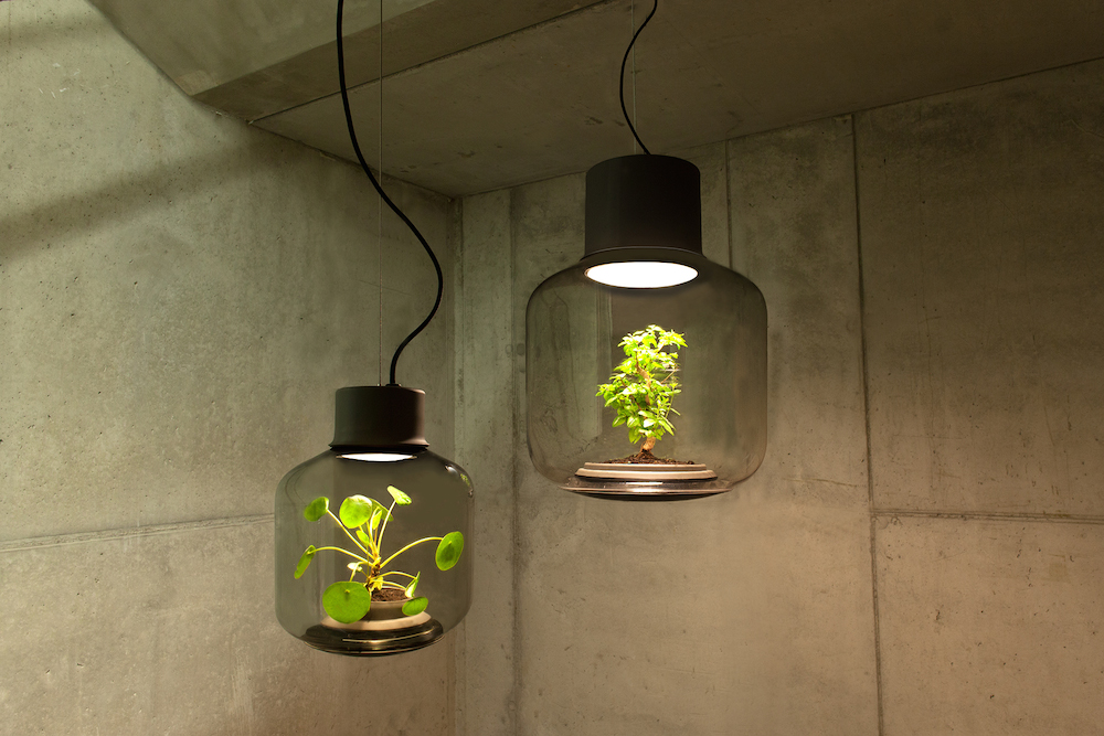 terrarium-lamp-photo-6