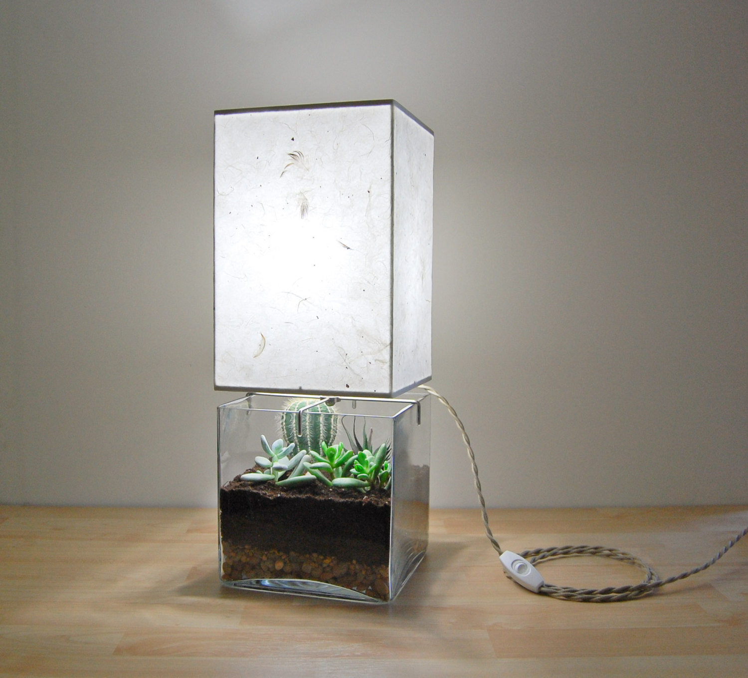 terrarium-lamp-photo-8