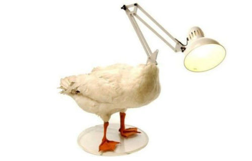 weird-lamps-photo-6