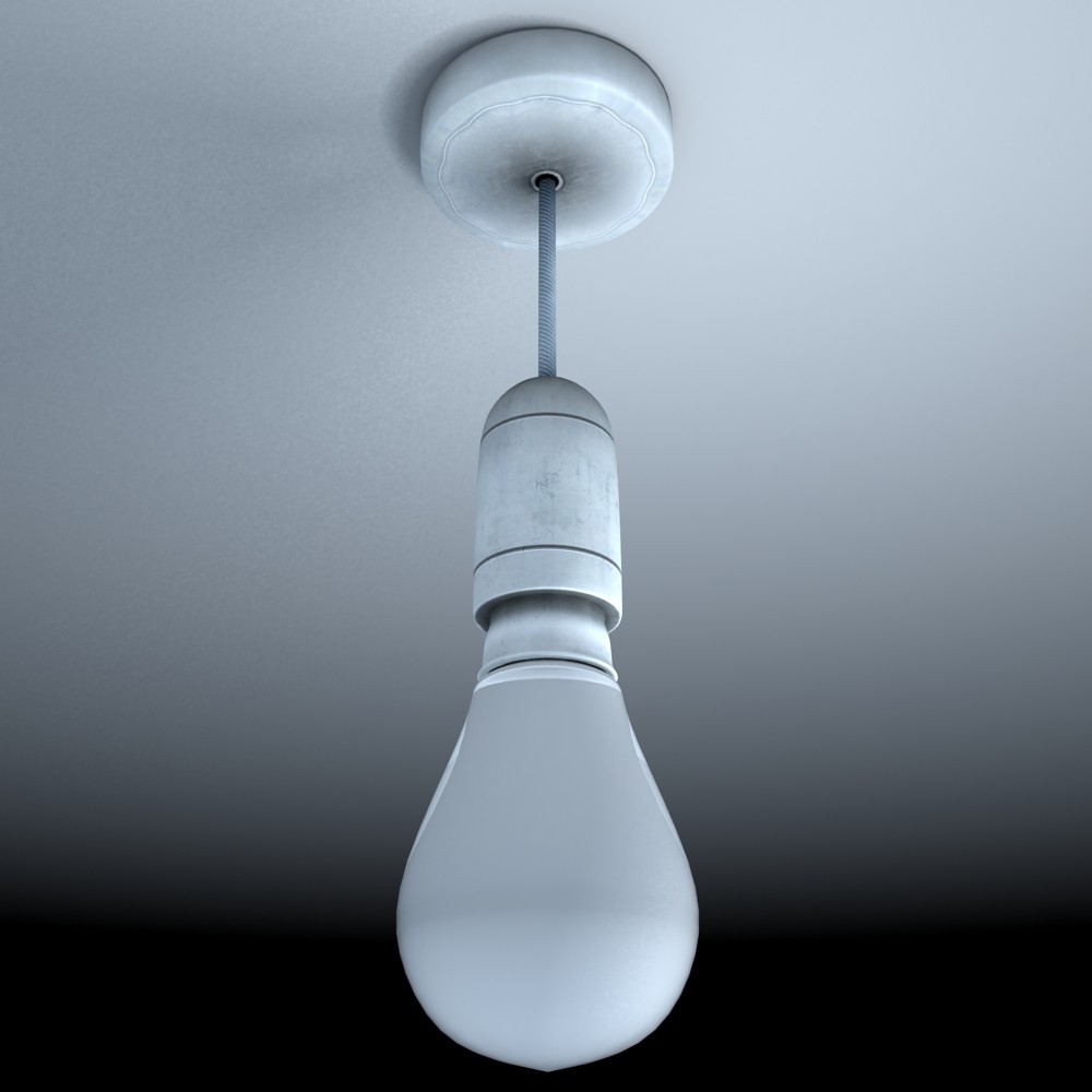 Ceiling Light Bulb Photo 7 