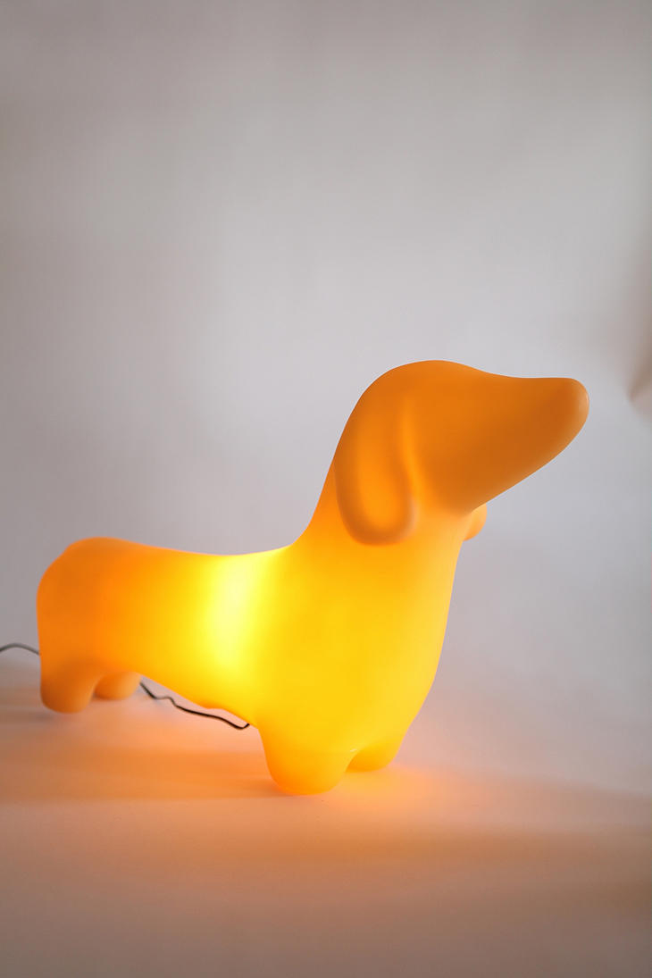 10 facts about Dachshund lamp