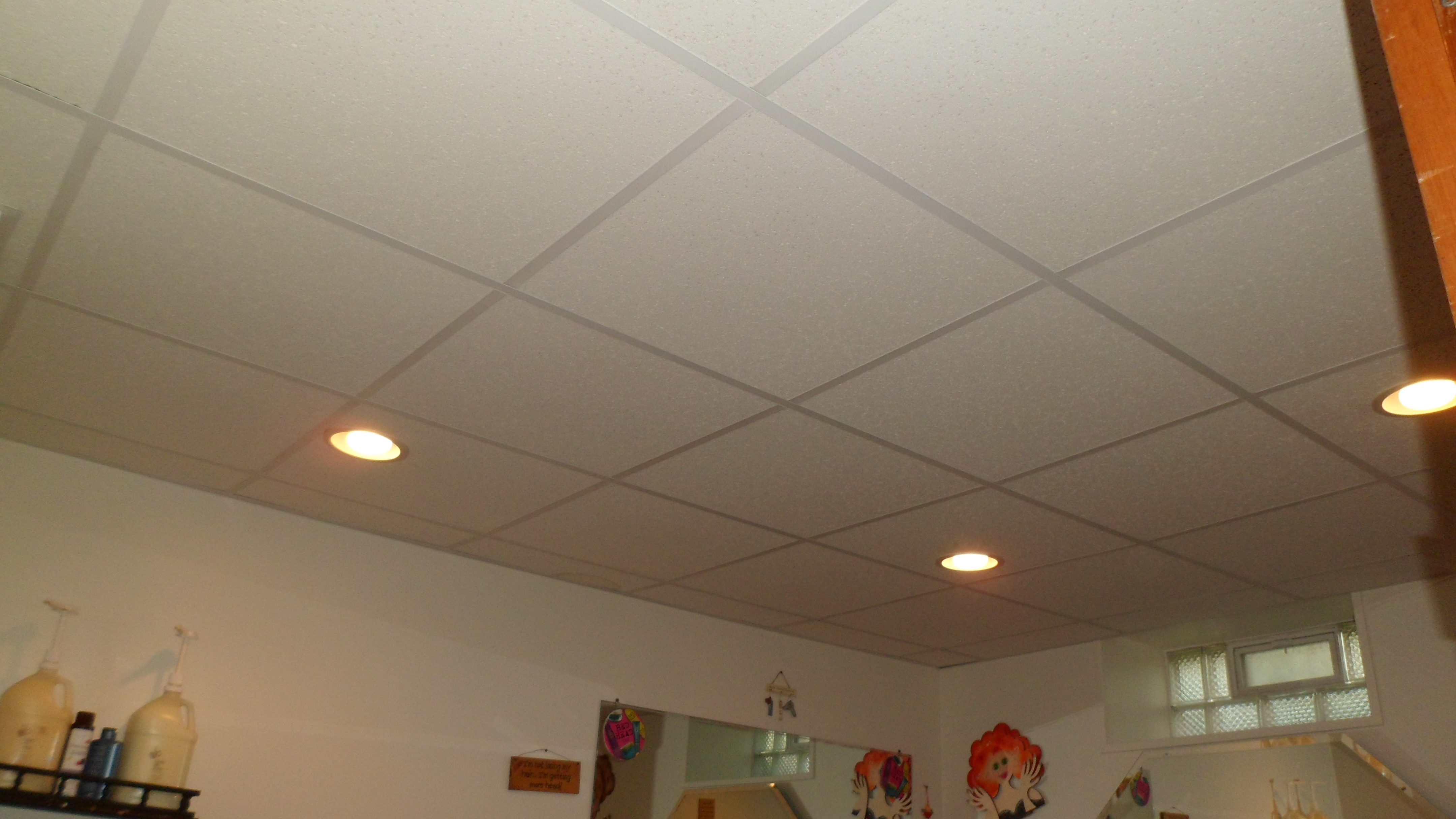 Drop Ceiling Lights Photo 8 