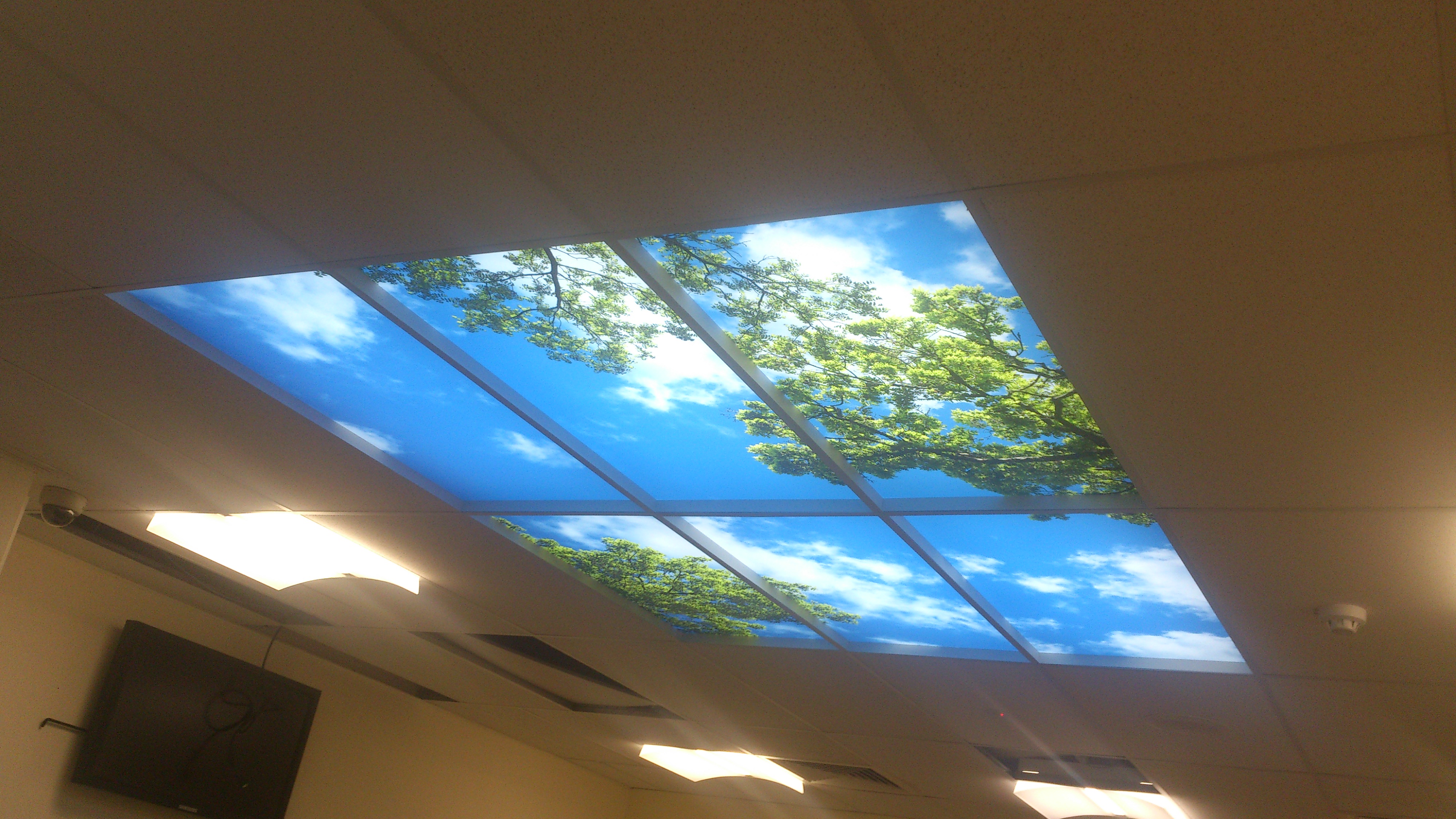 Lighted Ceiling Panels Cost Effective Way Of Customizing Your