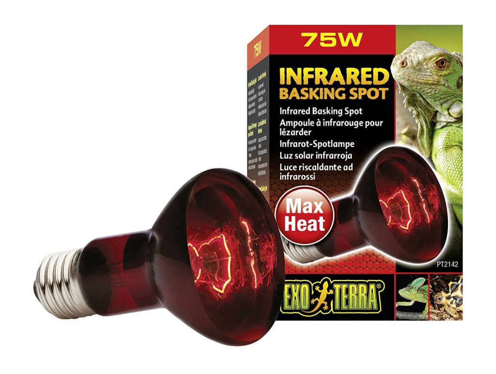 10 things to know about Snake heat lamps Warisan Lighting