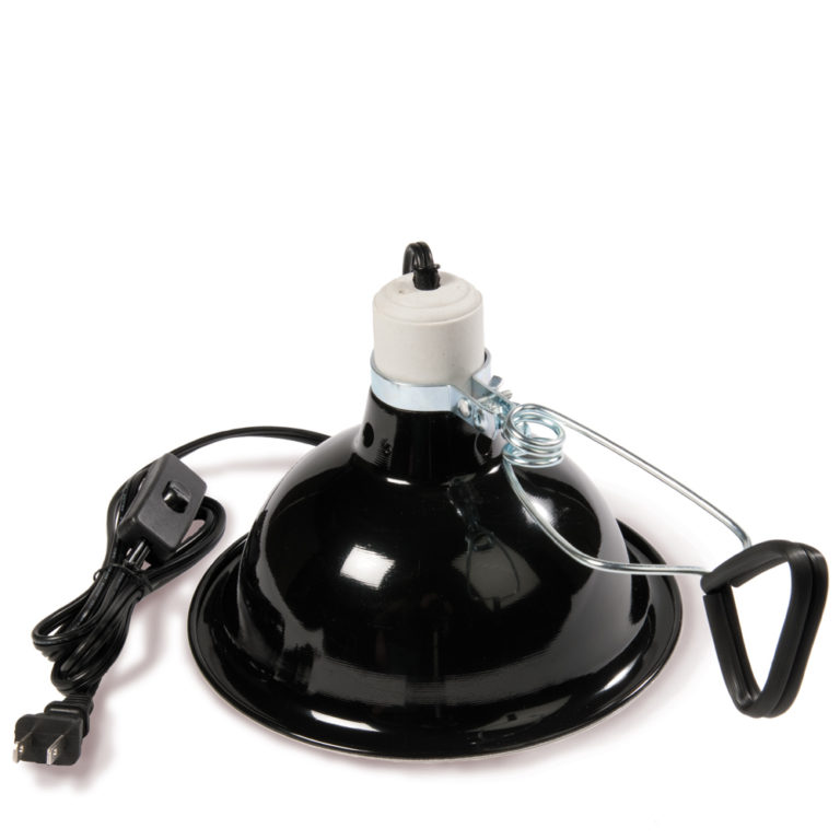 10 things to know about Snake heat lamps Warisan Lighting