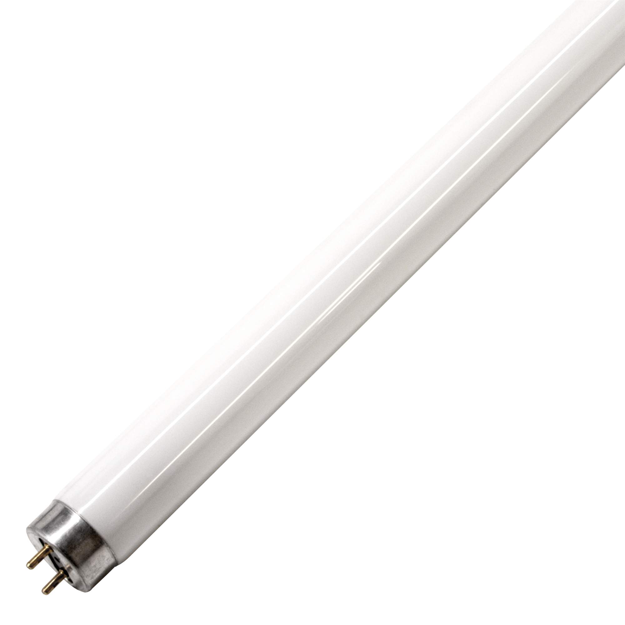 Make Your Room great using T8 fluorescent lamps Warisan Lighting