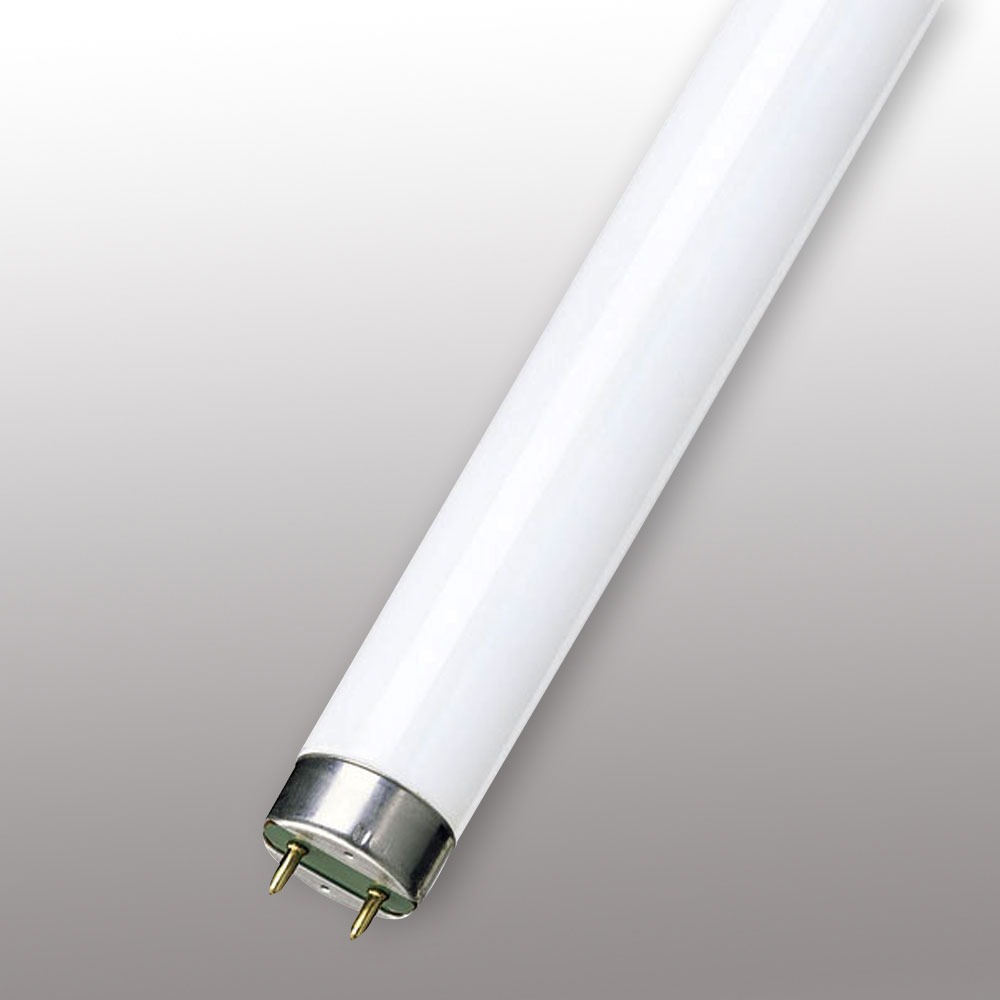 Make Your Room great using T8 fluorescent lamps Warisan Lighting