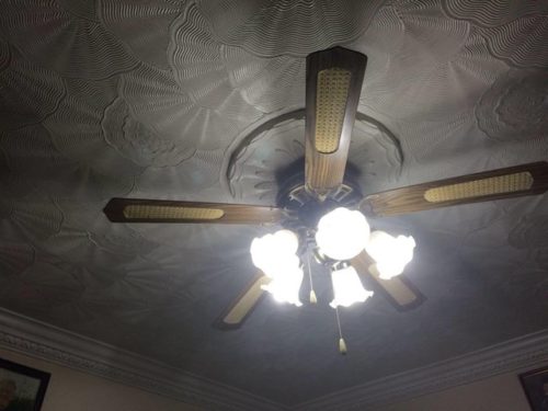 blyss-ceiling-fans-photo-10