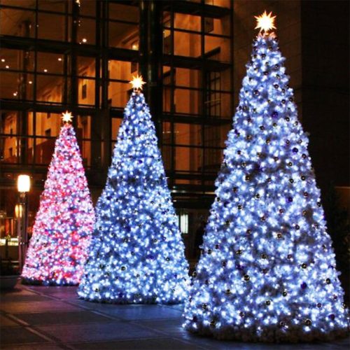 christmas-outdoor-net-lights-photo-15