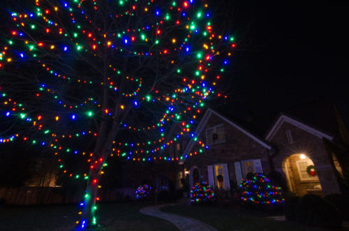 colored-outdoor-christmas-lights-photo-11