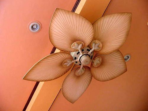 exotic-ceiling-fans-photo-10