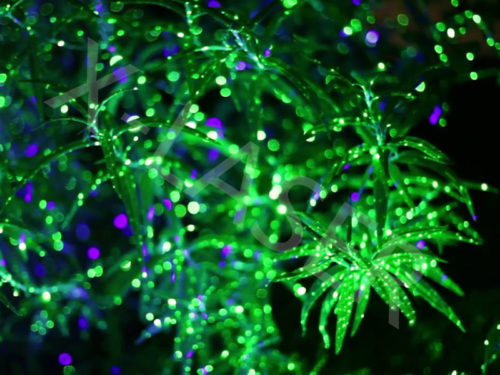 green-outdoor-christmas-lights-photo-11