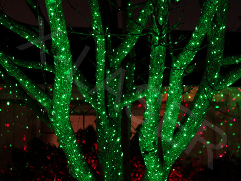 green-outdoor-christmas-lights-photo-12