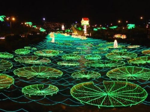 green-outdoor-christmas-lights-photo-14