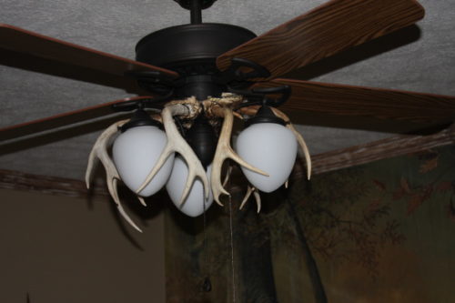 mossy-oak-ceiling-fan-photo-3