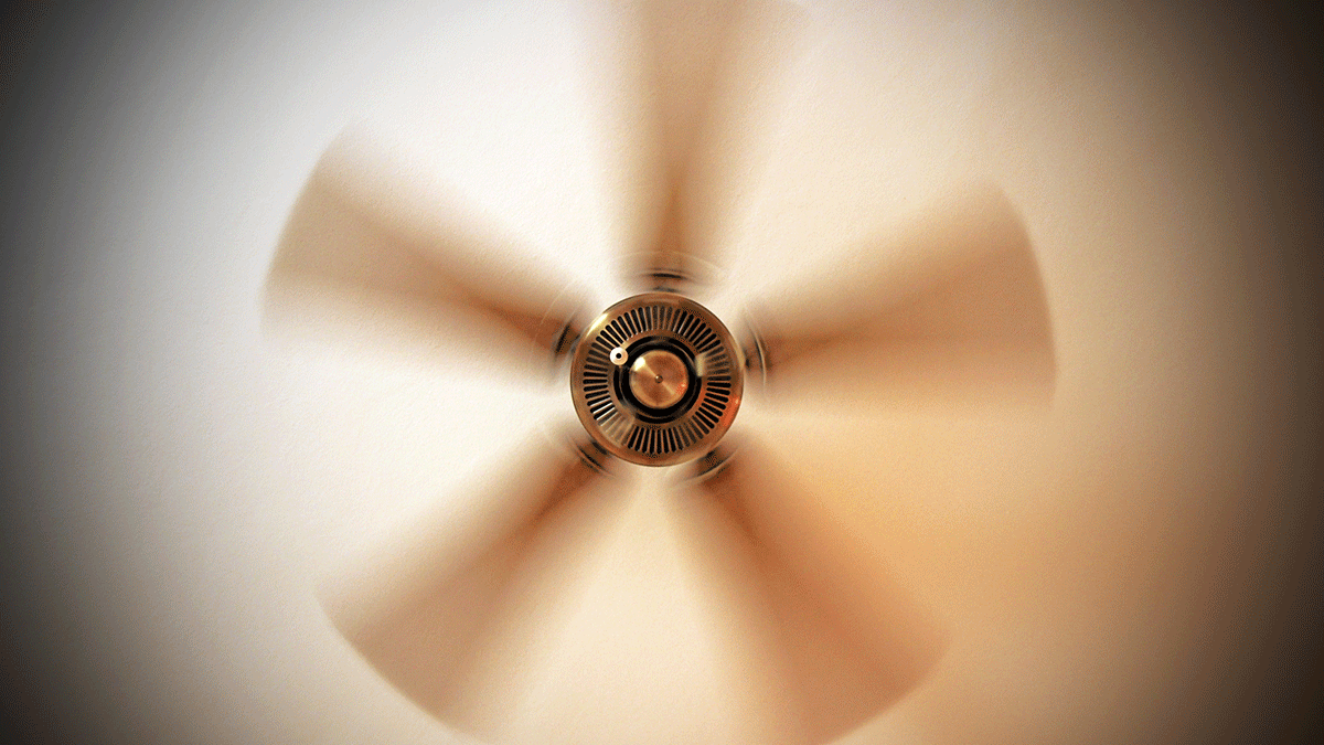 Ceiling Fan Spin Which Way Should A Ceiling Fan Spin
