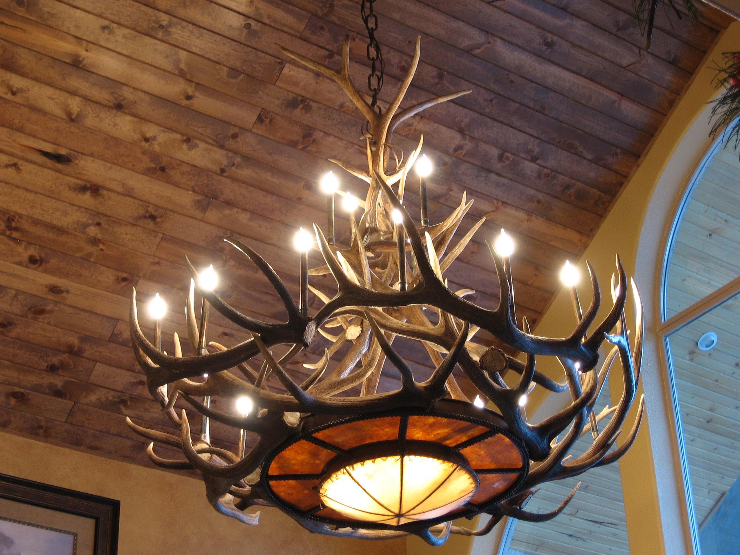 deer antler dining room lights