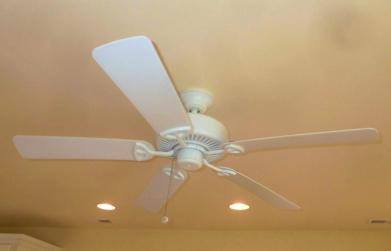 Why Hampton Bay Littleton Ceiling Fan Is The Ideal Choice