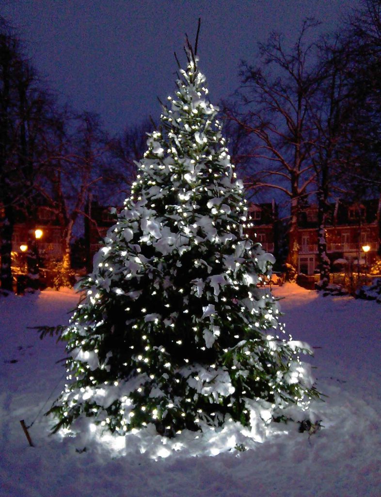 Led outdoor tree lights - Will Give A Remarkable Look To Your Location ...