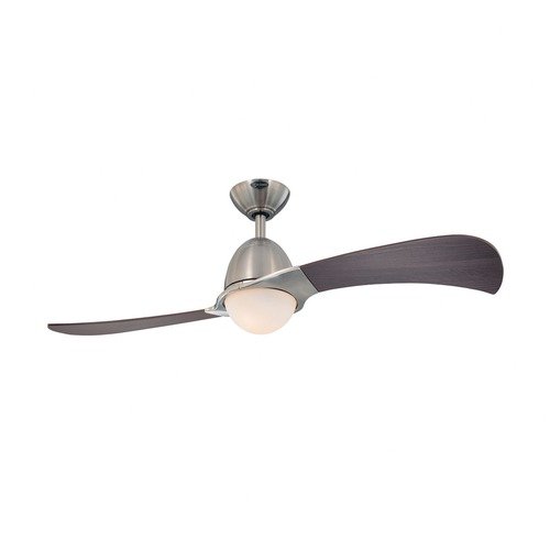 2 blade ceiling fans photo - 5