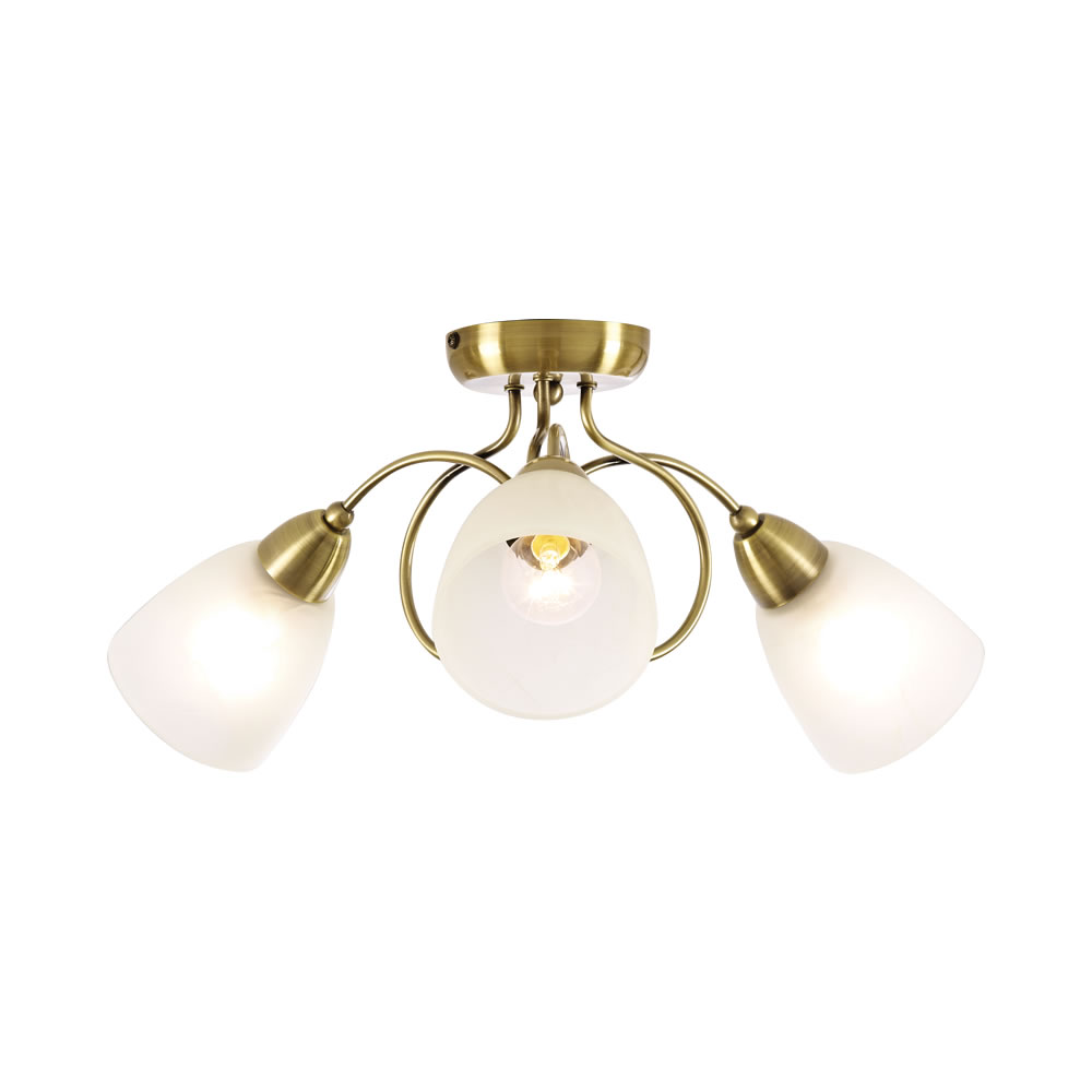 3 arm ceiling light photo - 1