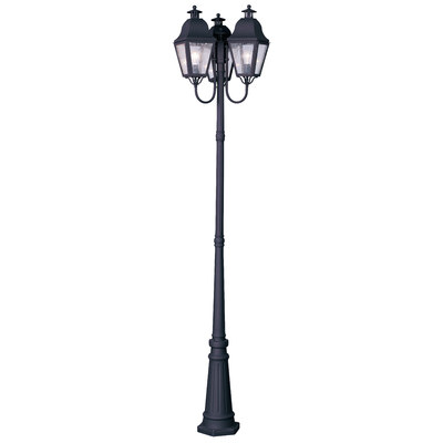 3 lamp post light outdoor photo - 5