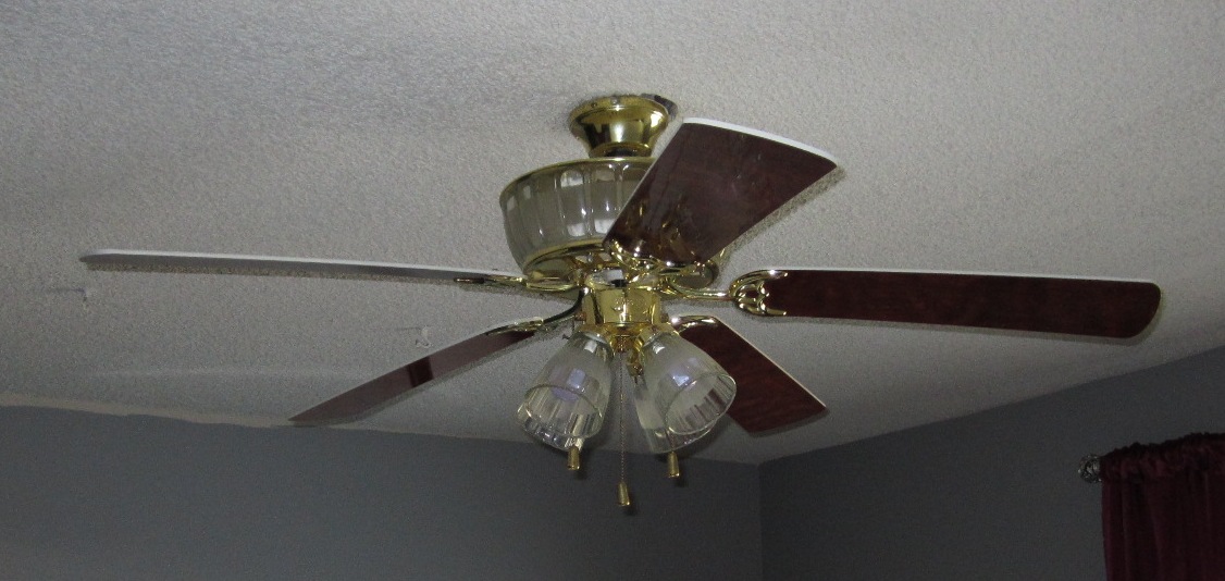 5 light ceiling fan photo - 7