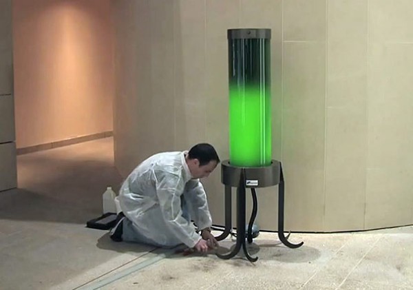 algae lamp photo - 1