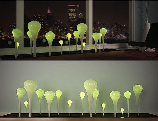 algae lamp photo - 6