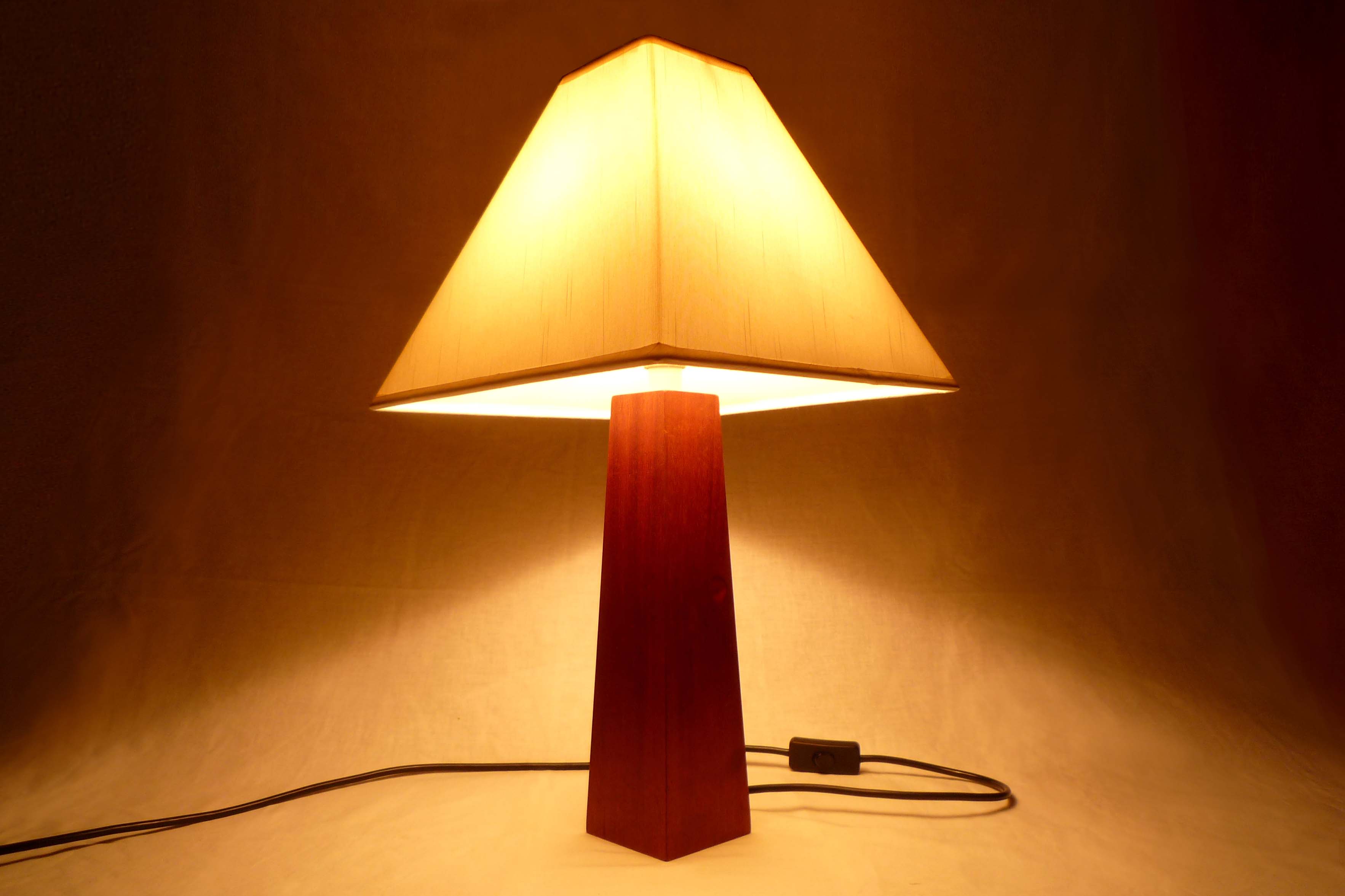 ambient lamp photo - 1