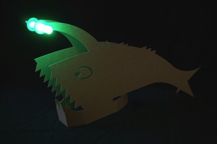 angler fish lamp photo - 8