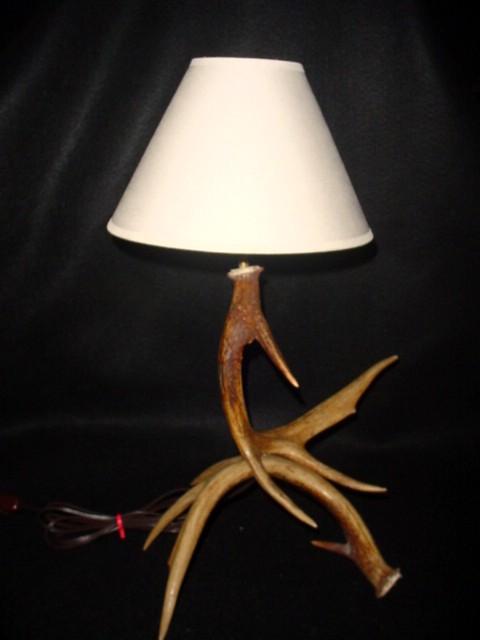 antler lamps photo - 2