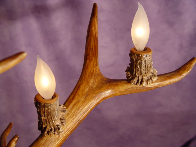 antler lamps photo - 9