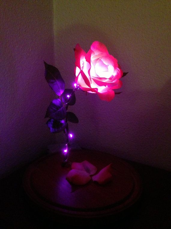 beauty and the beast lamp photo - 10